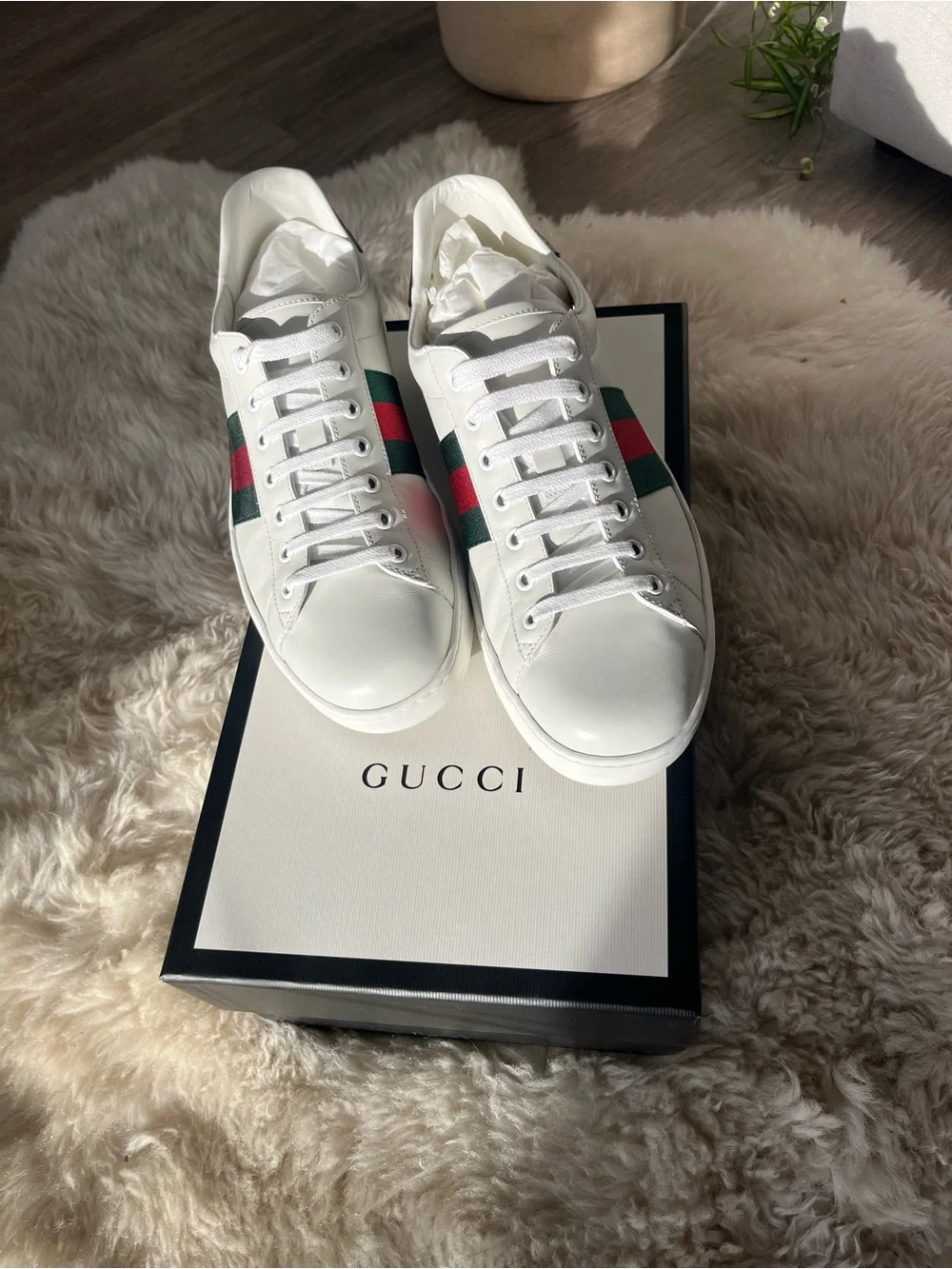 Gucci White Leather Low-Top Sneakers with Green and Red Web Stripe